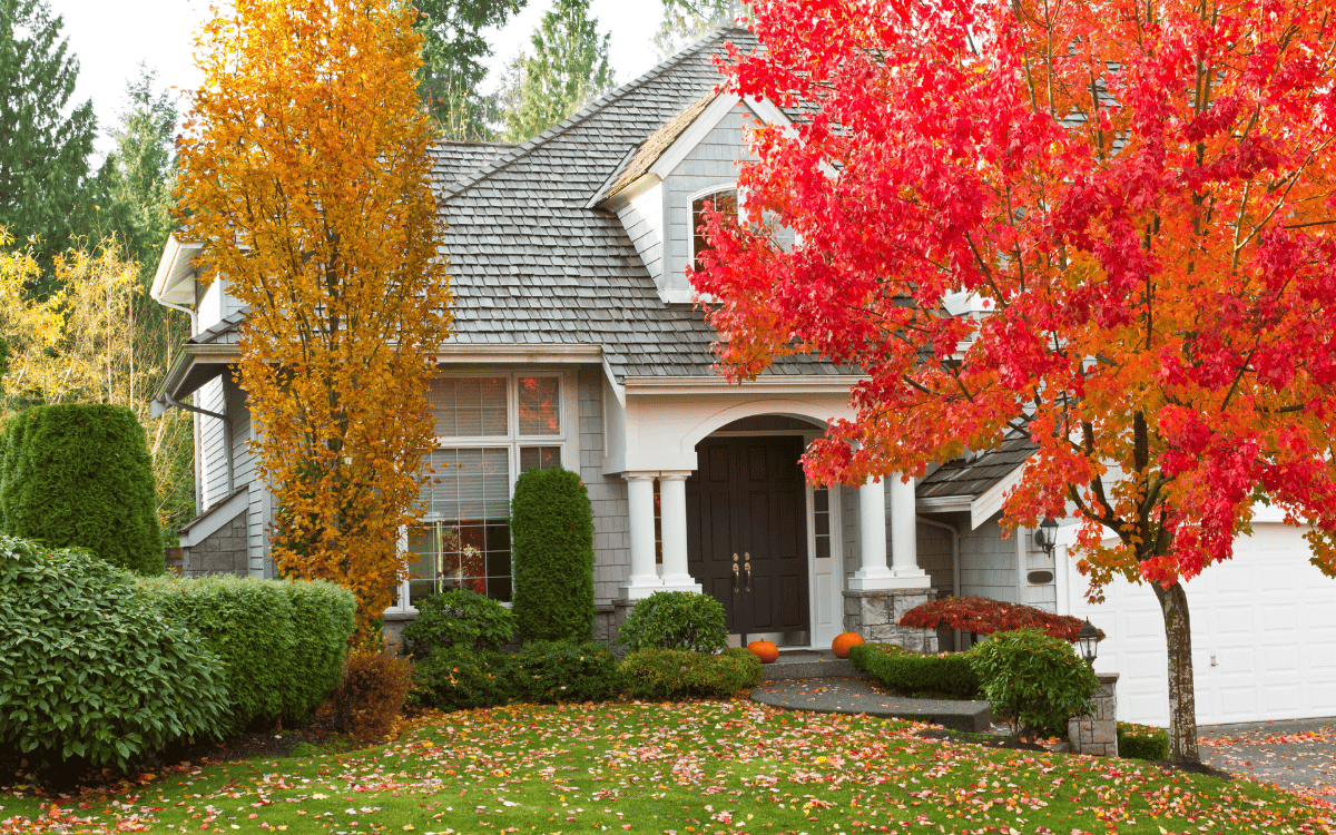 Why Fall is a Great Time to Buy a Home in Northeastern NC